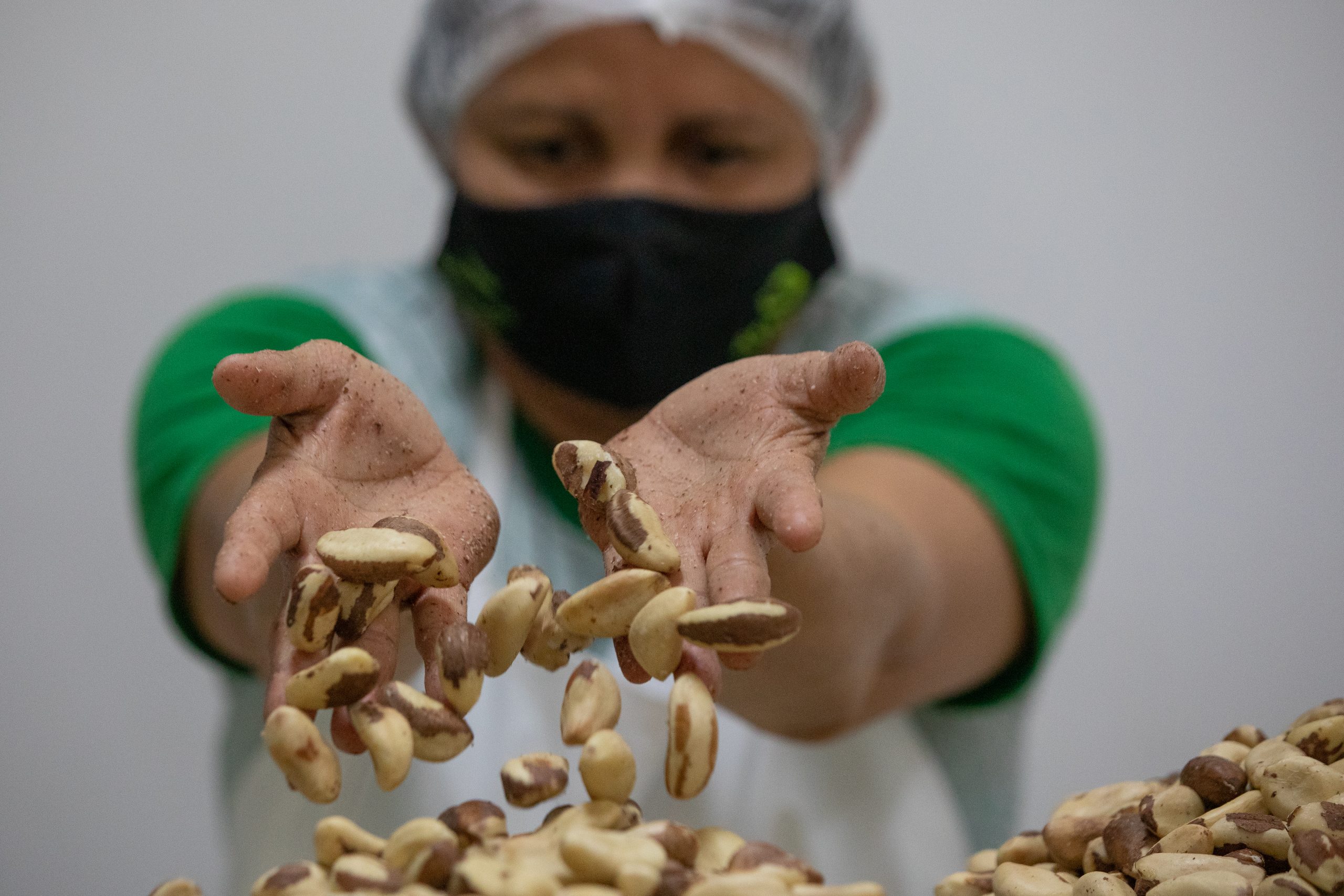 Usina de Beneficiamento de Castanha do Brasil da ASSOAB ( Assossiação dos Agropecuários de Baruri) em Beruri, Amazonas, Brasil. 27 de maio de 2022. foto: Bruno Kelly.